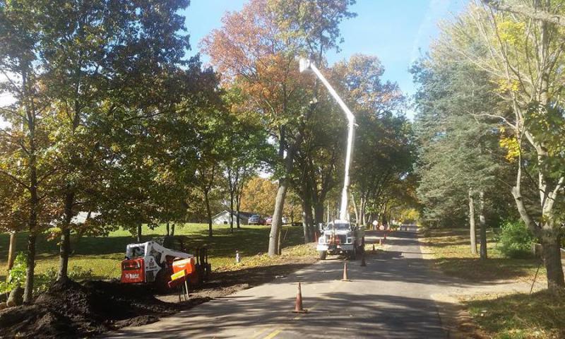 Tree Trimming, Tree Removal, Pruning, Brush Removal, Firewood Processing, Tree Clean-up, Tree Service, Stump Removal, Stump Grinding