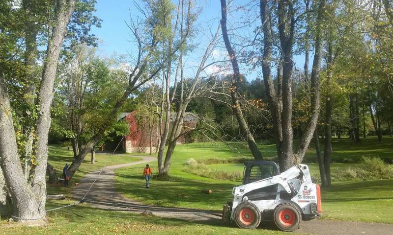 Snowplow, Snow Plow, Plow Truck, Snow Removal, Ice Management, Snowplowing, Snow plowing, Logging, Log Buyer, Log Buying, Timber Buying, Timber Buyer, Timber Purchasing, Log Purchasing, Clear-cut, Selective Logging, Cash For Logs, Cash For Timber, Tree Tr