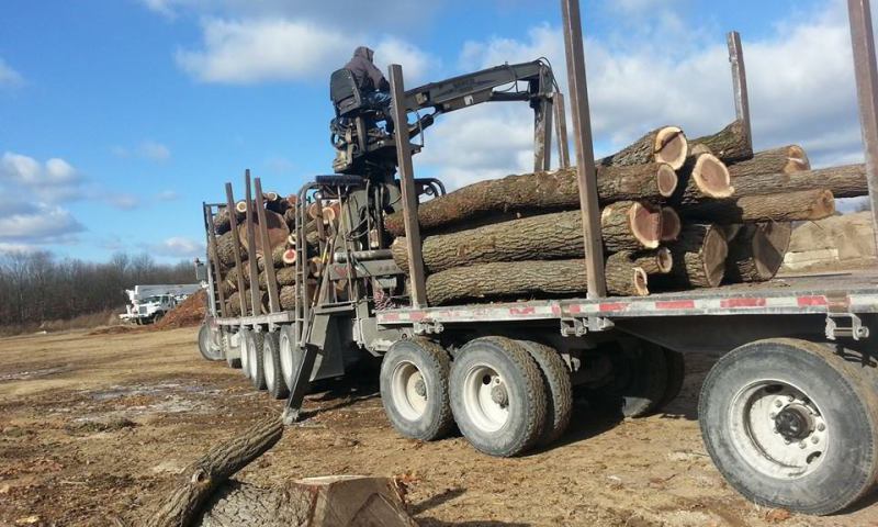 Snowplow, Snow Plow, Plow Truck, Snow Removal, Ice Management, Snowplowing, Snow plowing, Logging, Log Buyer, Log Buying, Timber Buying, Timber Buyer, Timber Purchasing, Log Purchasing, Clear-cut, Selective Logging, Cash For Logs, Cash For Timber, Tree Tr